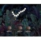 AM0618 COCO  