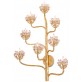 JT212 AGAVE 
