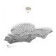 AM1920  PEARL WAVE