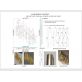 AM2158D Meta Sconce