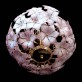 IQ2846 LARGE VENINI CHANDELIER