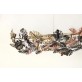 IQ2912 RAINFOREST LOG SUSPENSION