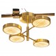 IQ2930 ROTATING ARMS CHANDELIER