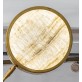 IQ2930 ROTATING ARMS CHANDELIER
