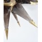 IQ2949 SMOKY FLUSH MOUNT