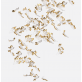 IQ2999 FROZEN PETALS