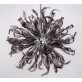 AM6004P IRIS APOLLO