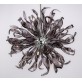 AM6004P IRIS APOLLO