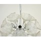 DV5519 Clear Flowers Sputnik
