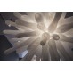 WM174 UNIQUE EXPLOSION