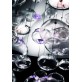 AM10070 GOLDA BUBBLES 
