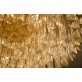 DV3903 Tansley