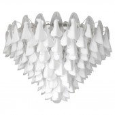 DV5512 Rondine