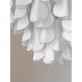 DV5512 Rondine