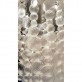 DV5782 Glass Globes