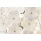 KA1341 MAZZEGA FLOWER BALL 