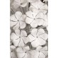 KA1341 MAZZEGA FLOWER BALL 