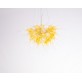 QZCL644 STARBURST  