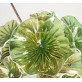 WM2120 FIORE VERDE