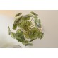WM2120 FIORE VERDE
