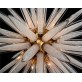 SJ2098  GLASS SPHERE 