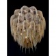 CHAIN042 PROTEA 