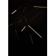 AM0107 SPEAR