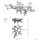 AM2828 ARMATURE BOCCI