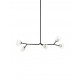 AM2828 ARMATURE BOCCI