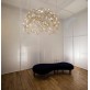 AM4244 LUSTROUS AURA  