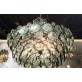 AM9520 GALAHAD CHANDELIER