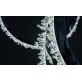 BM1302 HALO RING