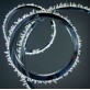 BM1302 HALO RING