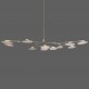 DV5612 Branching Disc