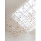 JT251 ELLIPSE LEAF 