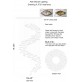 JT251 ELLIPSE LEAF 