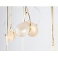 KA1755 Adelman Light