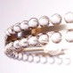 SJ2042 CLOVER CHANDELIER