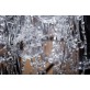 QZ0770 MEMENTO MORI GLASS CHANDELIER