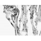 QZ0770 MEMENTO MORI GLASS CHANDELIER