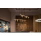 QZ9125 ABACUS LIGHT  