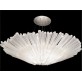 SJ2083 DIAMANTINA