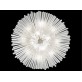 SJ2083 DIAMANTINA