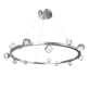 QZ2348 STELLA RADIAL 