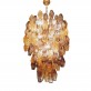 QZ2456 AMBER