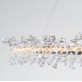QZ2479 CADENZA