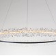 QZ2479 CADENZA