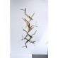 WM2088 ACROPORA  
