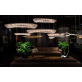 AK4006 ATOOL CHANDELIER 