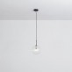 IQ8017 DRIES GLOBES